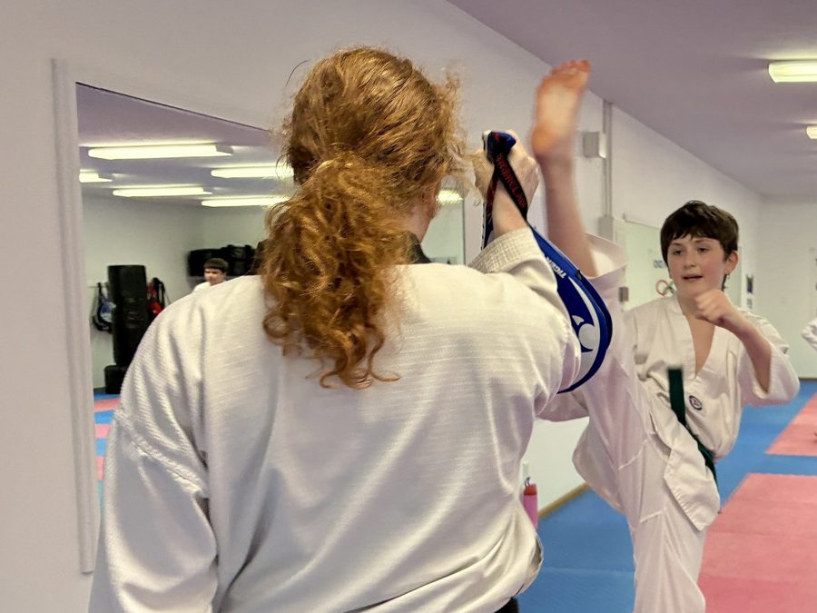 Teen and Adult Classes